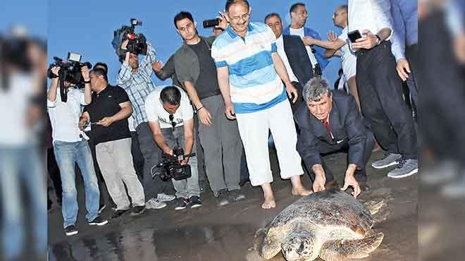 Caretta Caretta'lar denizle bulutu