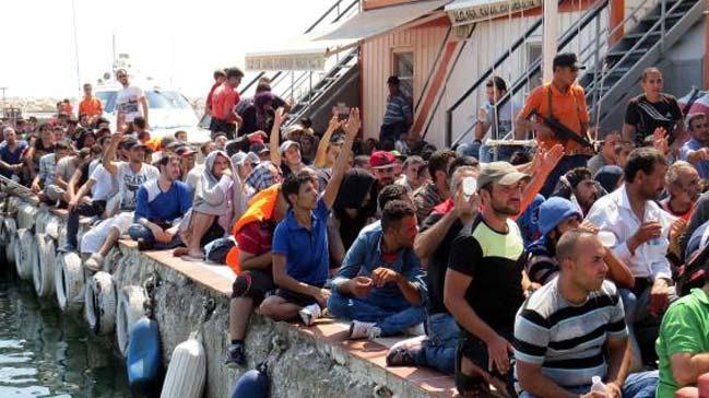 anakkale'de denizde 60 kaak yakaland