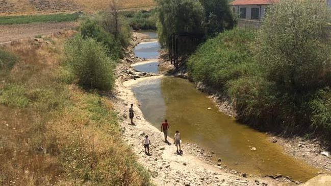 Sakarya Nehri kurudu, binlerce balk ld, ifti zorda