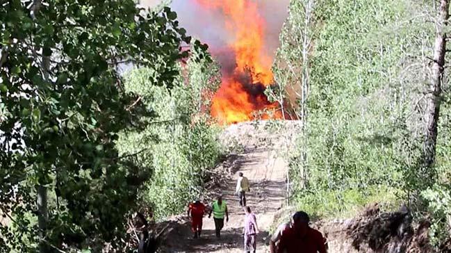 Son dakika: Erzurum'daki orman yangn devam ediyor