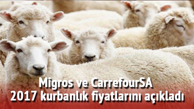 2017 CarrefourSA ve Migros kurbanlk fiyatlarn yaynlad