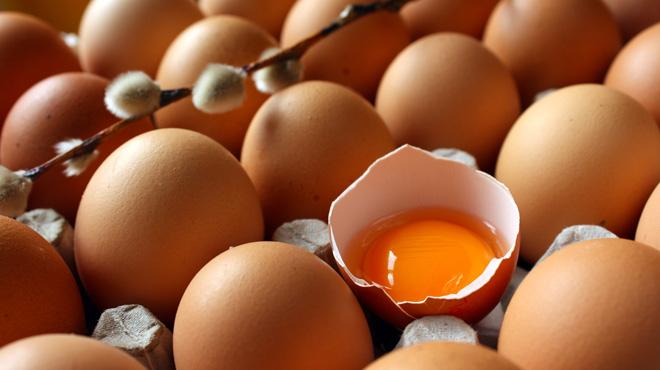 Avrupa'daki ilal yumurta krizi Trk ihracatsn umutlandrd