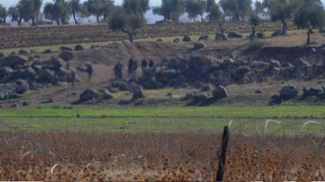 Hatay snrnda 14 yabanc uyruklu yakaland       