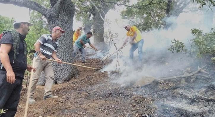 Tunceli'deki orman yangnlar kontrol altna alnd