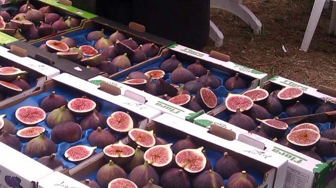 Bursa'nn siyah incirinin ihracat 7 liradan balyor