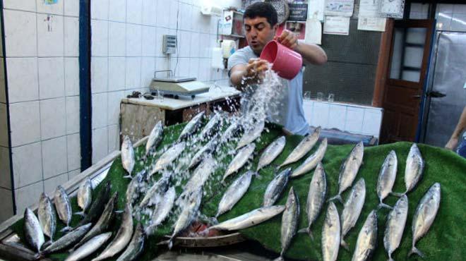 Tezgahlar palamutla  dolmaya balad