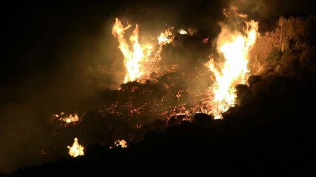 Hatay'daki orman yangnnda 5 hektar alan zarar grd