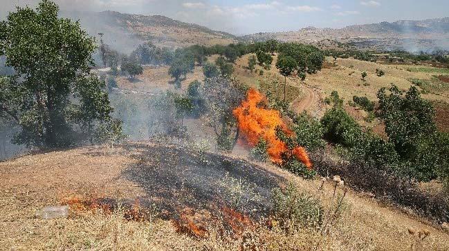 Hatay'da terristlerle scak temas! Orman atee verip katlar