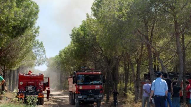 Antalya'da 4 farkl noktada orman yangn: 1 kii gzaltna alnd