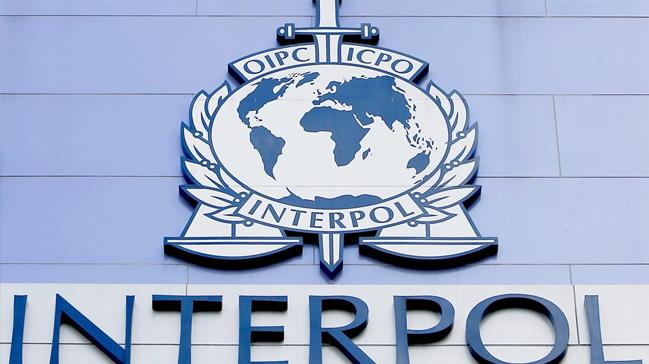 Almanya Interpol'u kendine oyuncak yapt