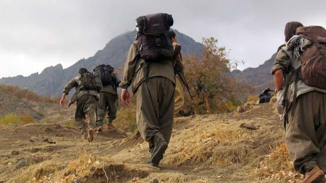 Silopi'de 2 PKK'l ldrld, 6's teslim oldu