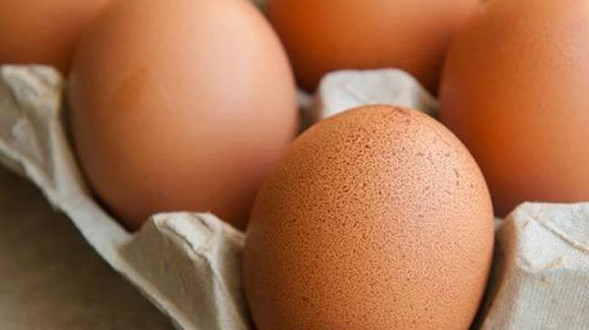 Zehirli yumurta Trkiye'ye sratlmak isteniyor