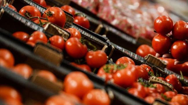 Rusya'ya domates ihracat ile ilgili bakanlktan ok nemli aklama!