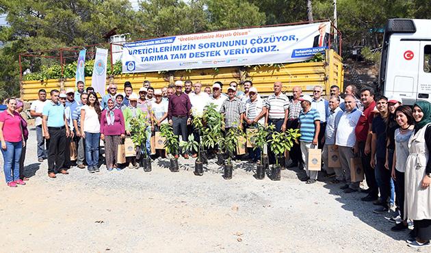 Mersin'de belediyeden reticiye tropik destek