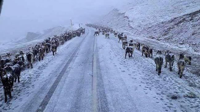 Meteoroloji uyard! Kar ya bekleniyor