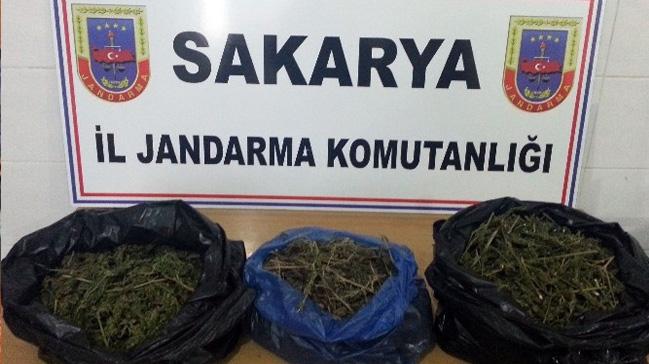 Sakarya'da 480 gram esrar ele geirildi