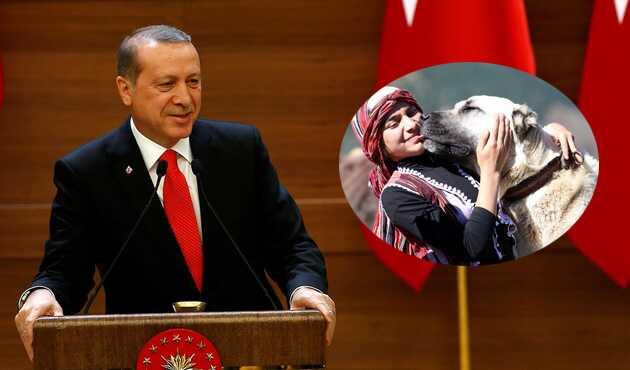 Cumhurbakan Erdoan, Hamdu Senay Ankara'ya davet etti