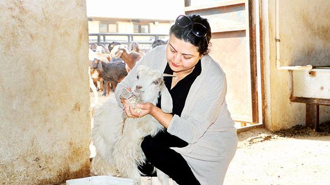 Kadn giriimci hibe desteiyle kei iftlii kurdu