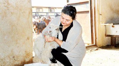 Kadn giriimci hibe desteiyle kei iftlii kurdu