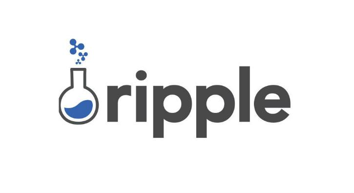 Yeni altcoin Ripple nasl satn alnr"