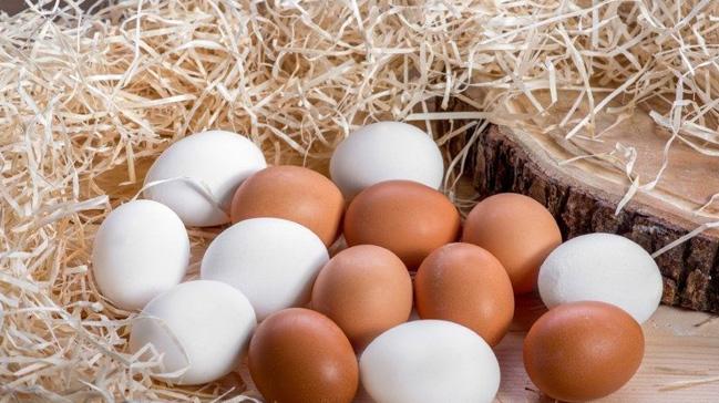 orum'dan haftada 2 milyon yumurta ihracat