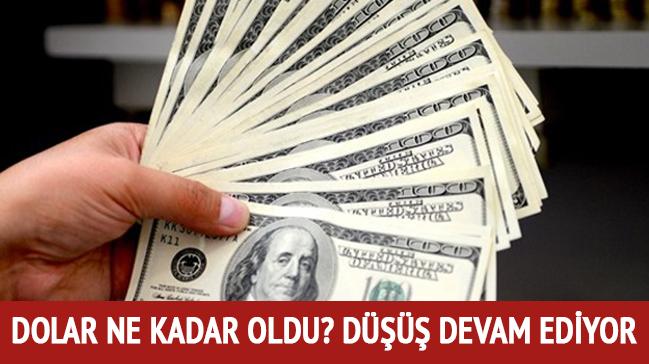 Dolar Euro ne kadar"