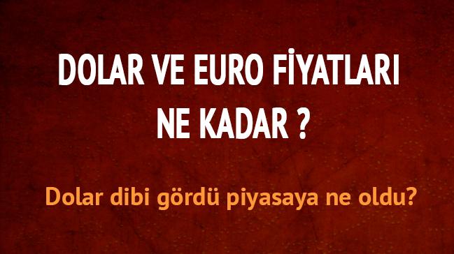 Dolar dibi grd piyasaya ne oldu" 