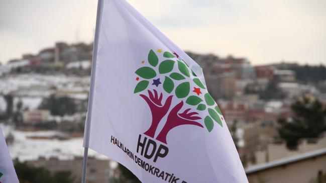 HDP Hakkari Milletvekili Irmak'a hapis cezas