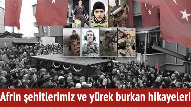 Afrin ehitlerimiz ve yrek burkan hikayeleri