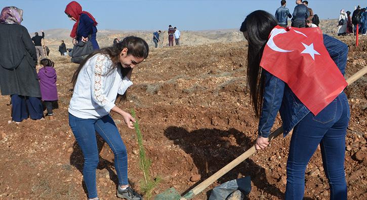 Batmanda ehitler ansna 2 bin 300 fidan dikildi 