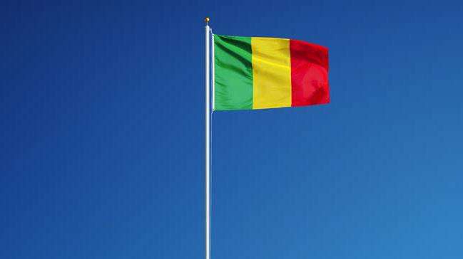 Mali'de mayn patlamas: 5 l, 18 yaral