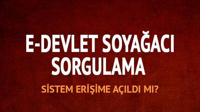 e-Devlet soyaac sorgulama ne zaman alr"