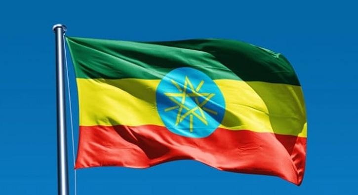 Etiyopya'da ikinci kez OHAL ilan edildi
