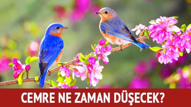 Bahar ne zaman gelecek"