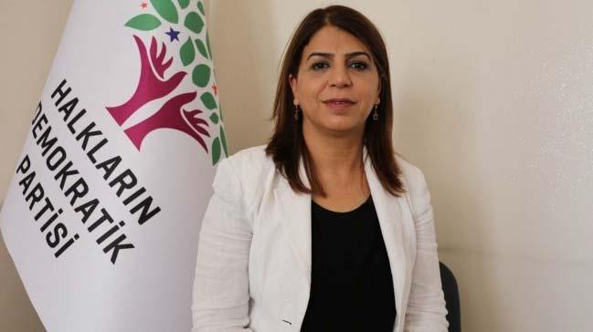 HDP'li vekilden polislere 'Sizi paralarm' tehdidi