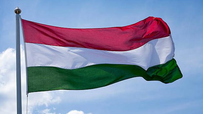 Macaristan'da eitim politikas protesto edildi 