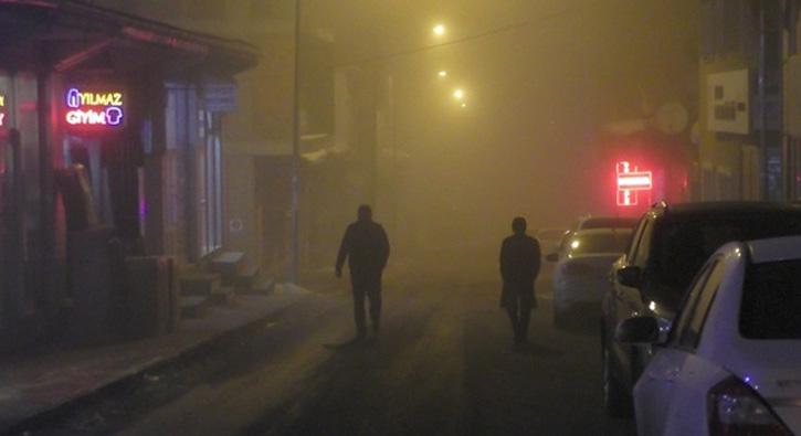 Ardahan'da sis yaam olumsuz etkiledi
