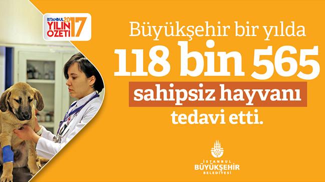 Bykehir ylda 118 bin 565 sahipsiz hayvan tedavi etti