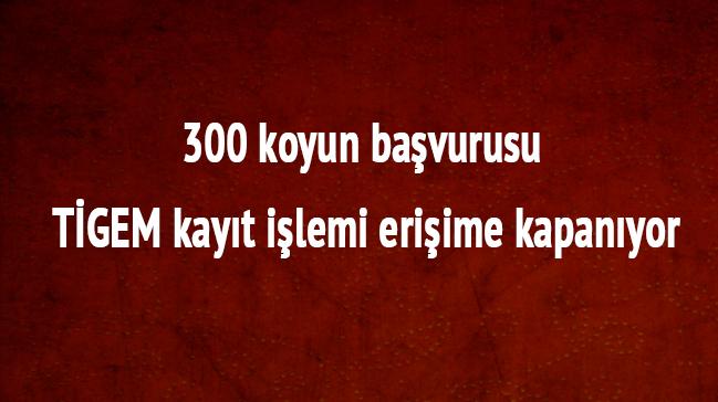 TGEM 300 koyun damzlk kayt ilemi bitti mi" 300 koyun bavurusu nasl yaplr" 