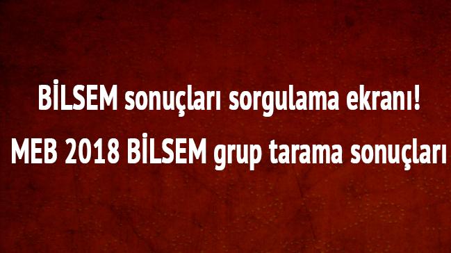 BLSEM sonular akland m"