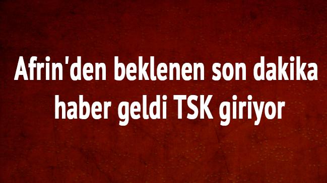 te PKK/YPGdeki yabanc terristler