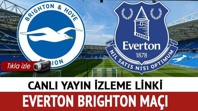 Brighton ve Everton kar karya!