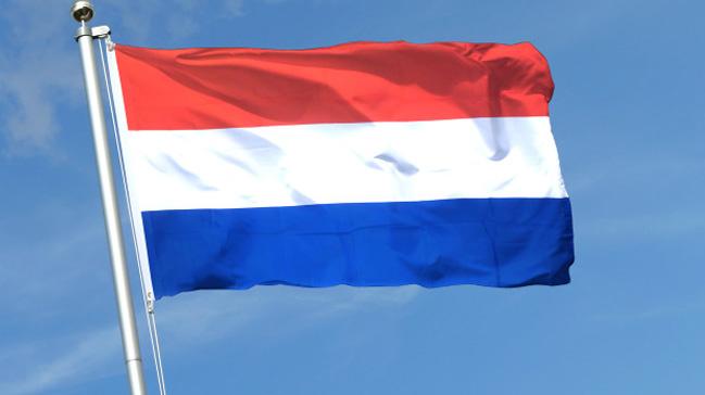 Hollanda'da seimin galibi yerel partiler