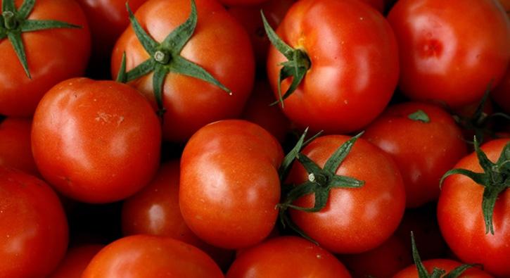 Rusya'dan 4 irkete daha domates ithalat izni