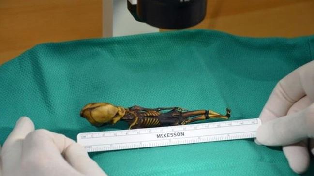 ili'deki Atacama l'nde bulunan 'uzayl iskeleti' insan kt