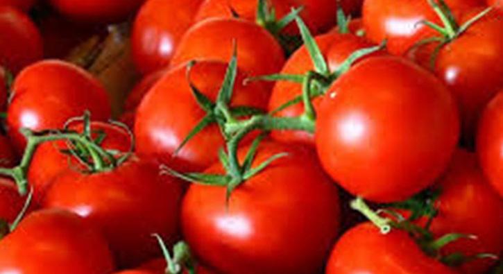 Rusya'dan 2 Trk irkete daha domates ihracat izni kt