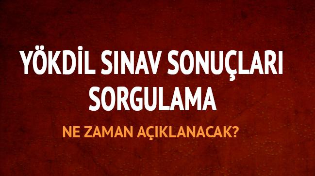 YKDL snav sonular sorgulama ekran