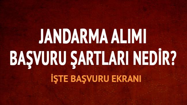 Jandarma alm bavurular devam ediyor