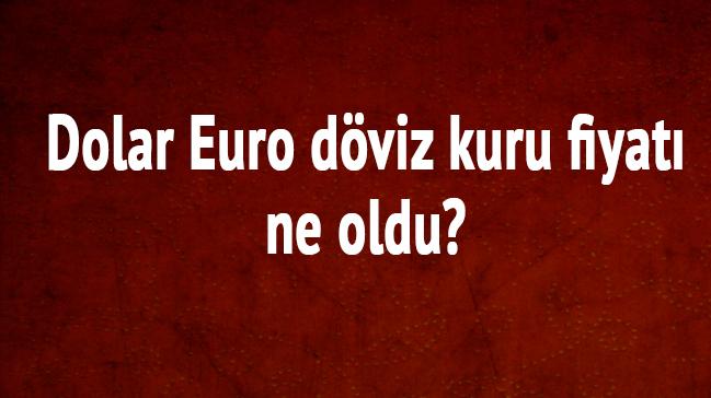 Dolar Euro dviz kuru fiyat ne oldu" 