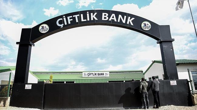 iftlik Bank soruturmasnda 4 tutuklama